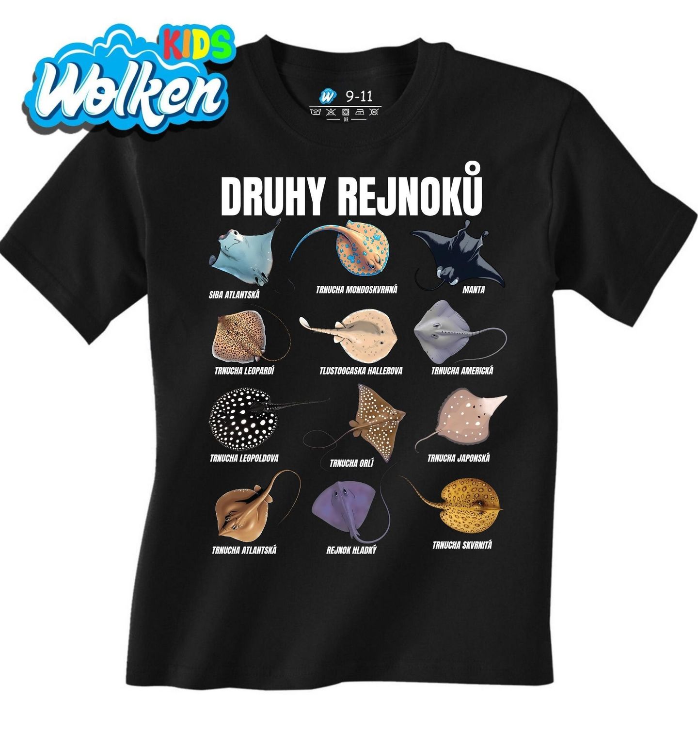 Dětské tričko Druhy Rejnoků.jpg