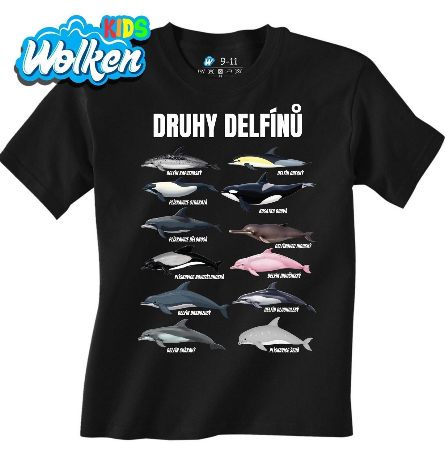 Dětské tričko Druhy Delfínů.jpg