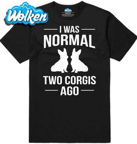 Obrázek produktu Pánské tričko Byl Jsem Normální Před Corgi I Was Normal Two Corgis Ago