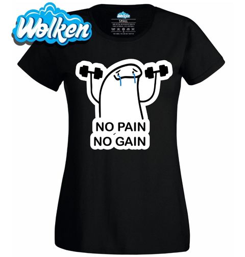 Obrázek produktu Dámské tričko Bolest k Úspěchu