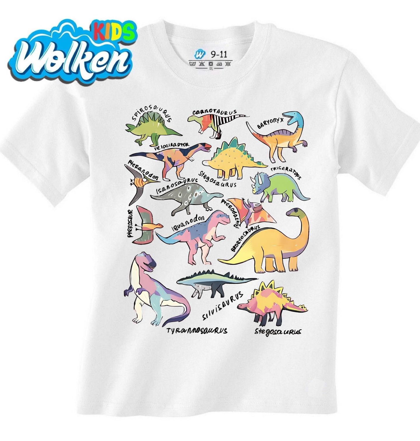 Dětské tričko Druhy Dinosaurů.jpg