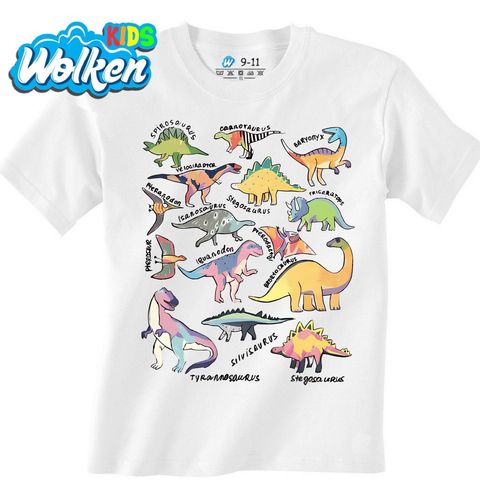 Obrázek produktu Dětské tričko Druhy Dinosaurů