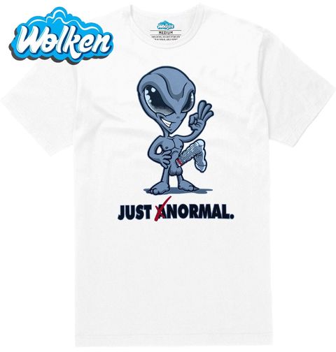 Obrázek produktu Pánské tričko Prostě (Ne)Normální