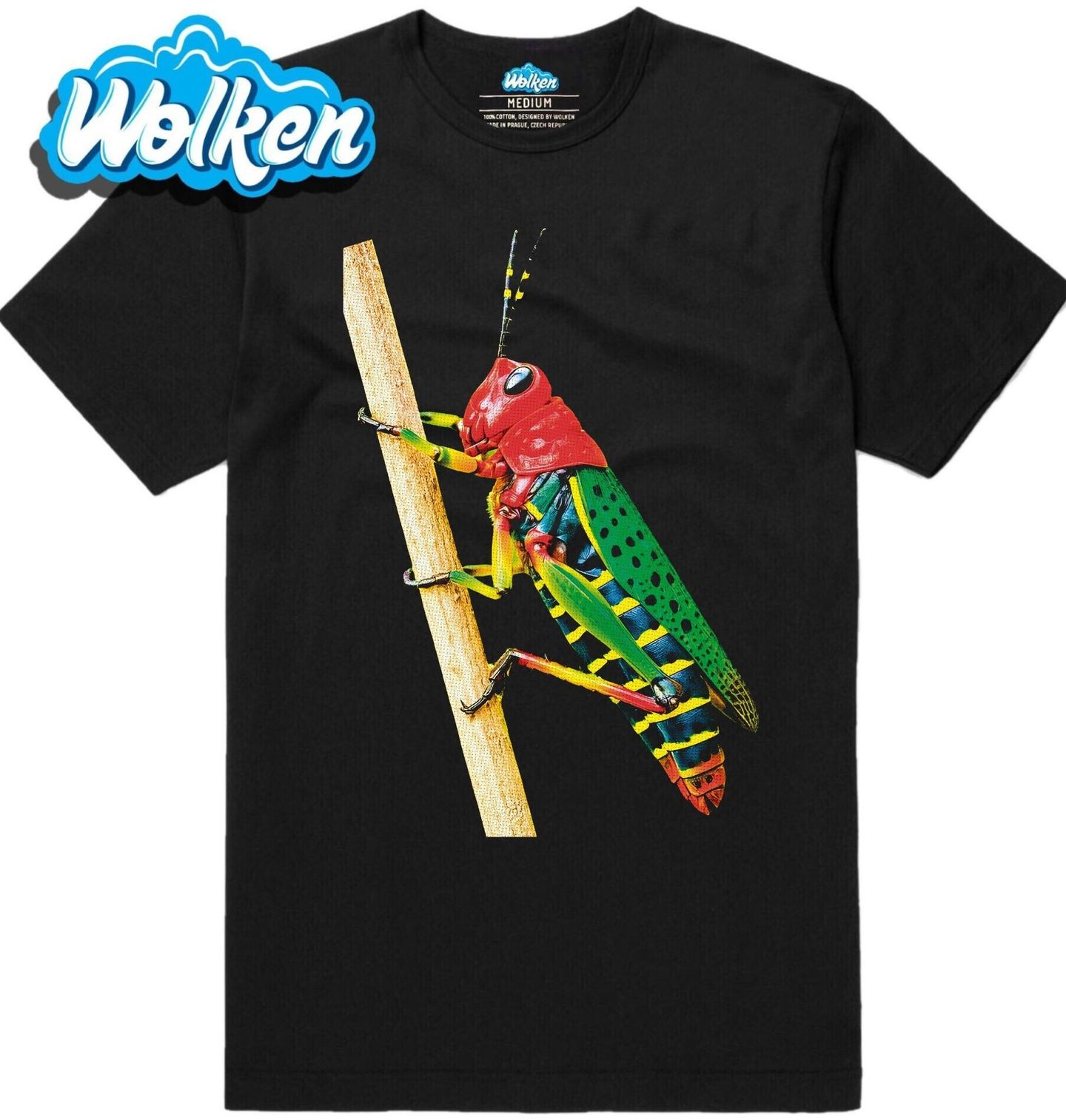 Pánské tričko Tropická Kobylka Painted Grasshopper.jpg