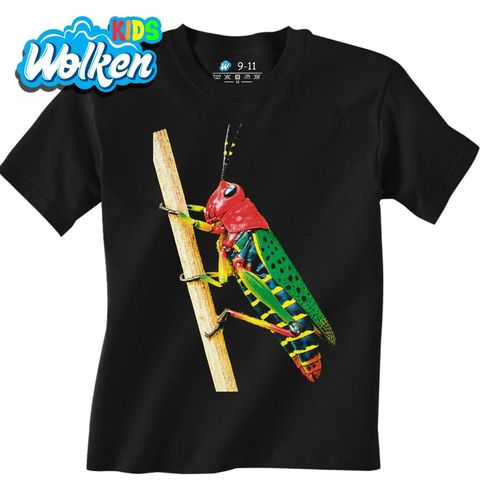 Obrázek produktu Dětské tričko Tropická Kobylka Painted Grasshopper