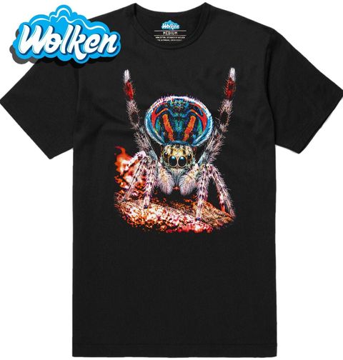 Obrázek produktu Pánské tričko Paví Skákavka Peacock Spider