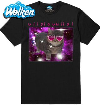 Pánské tričko Galaktická Kočka Meme Spinning Cat OIIAA OIIAA.jpg