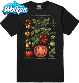 Pánské tričko Botanika Rajče Solanum Lycopersicum.jpg