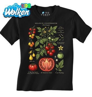 Dětské tričko Botanika Rajče Solanum Lycopersicum.jpg