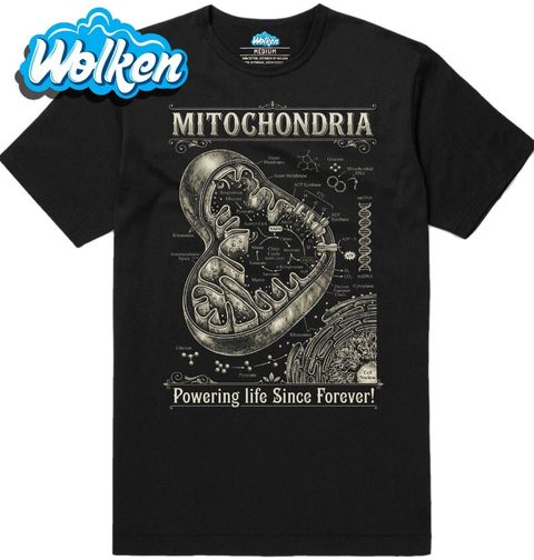 Obrázek produktu Pánské tričko Mitochondrie Powering life Since Forever