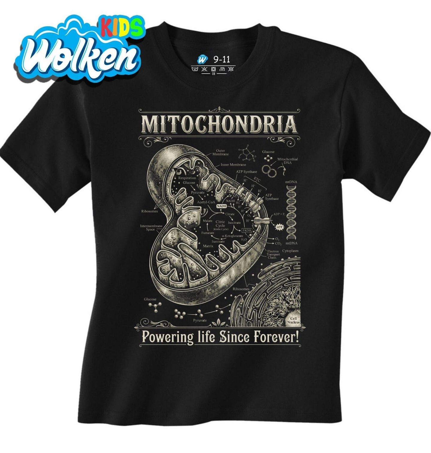 Dětské tričko Mitochondrie Powering life Since Forever.jpg